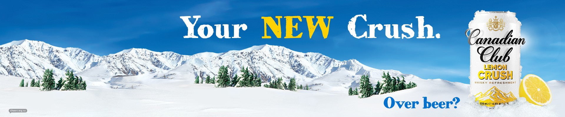 Collection Banner